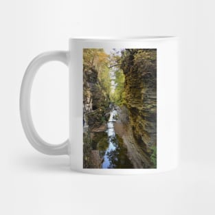 Watkins Glen Gorge, New York Mug